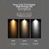 Exposed Grid Lights